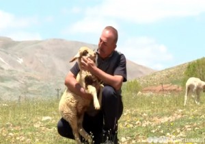 Bakan avuolu nun  Ata Yurdu Sbimen Yaylasndaki Video Paylamna byk lgi